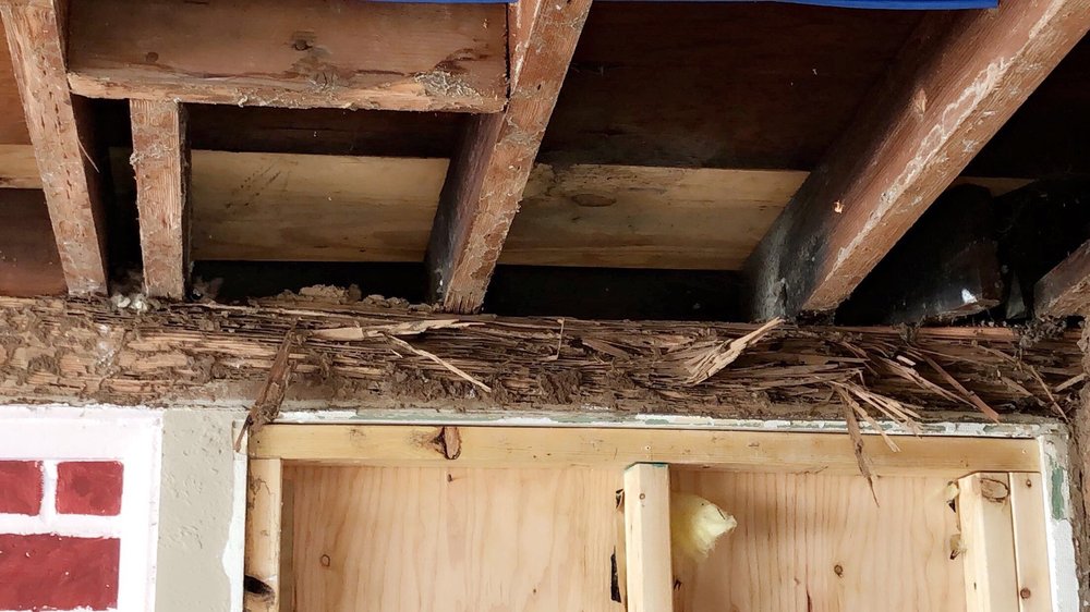 JBC Termite & Pest Control