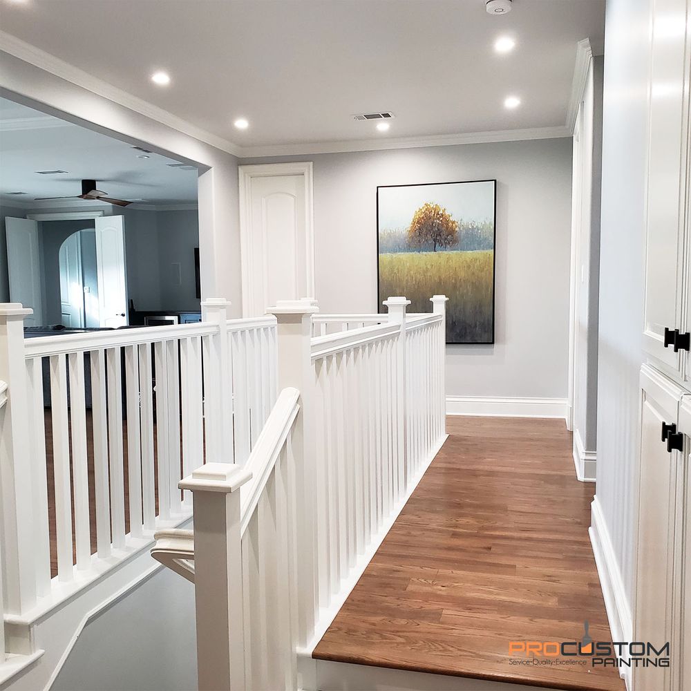 Pro Custom Painting