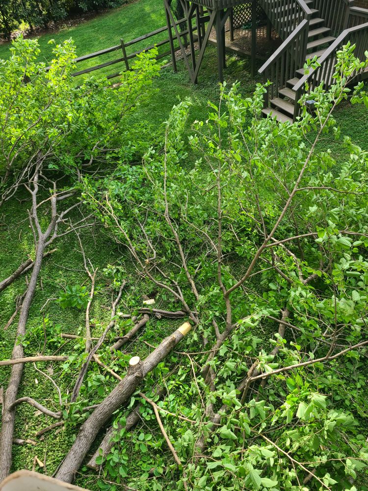 B&K Landscaping and Grading