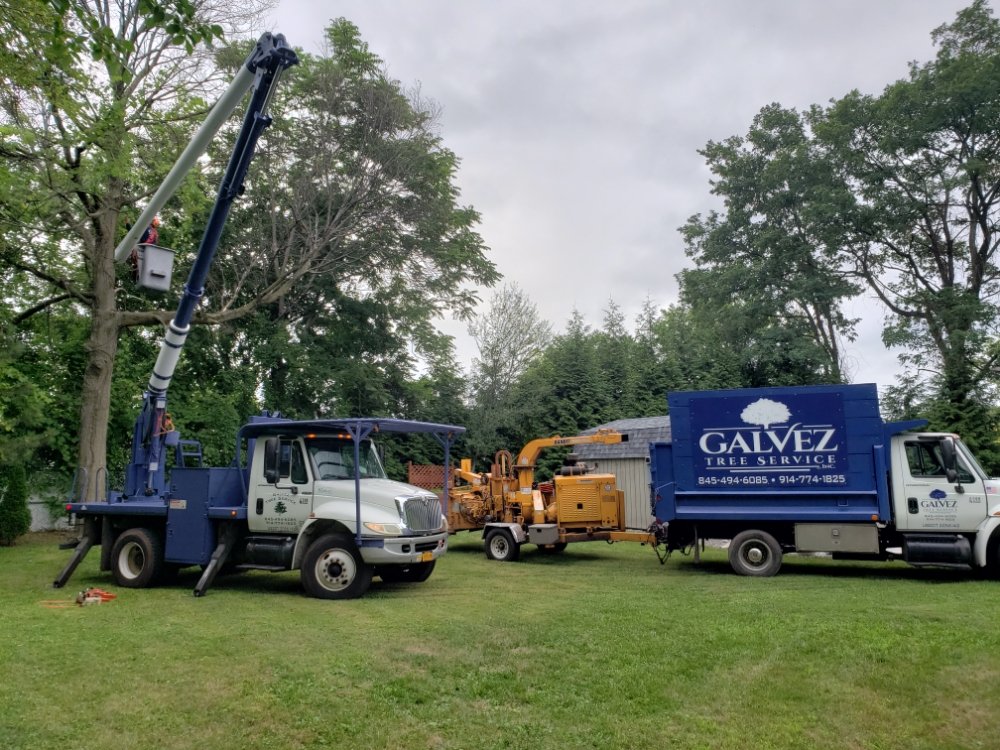 Galvez Tree Service