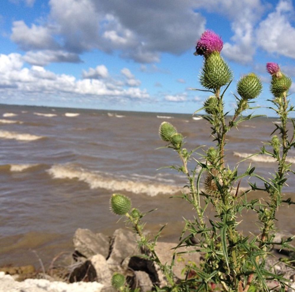 Beulah Beach Beaches 6101 W Lake Rd, Vermilion, OH Phone Number