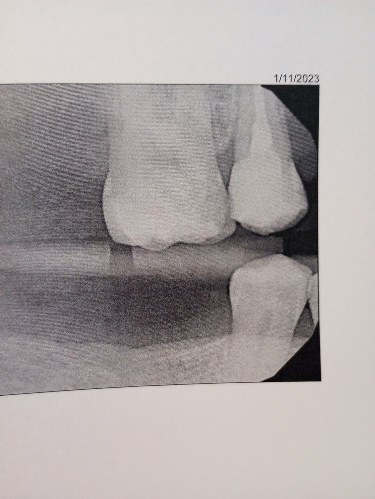 image of business Bakersfield Smile Design: Dr. Kenneth W Krauss, DDS