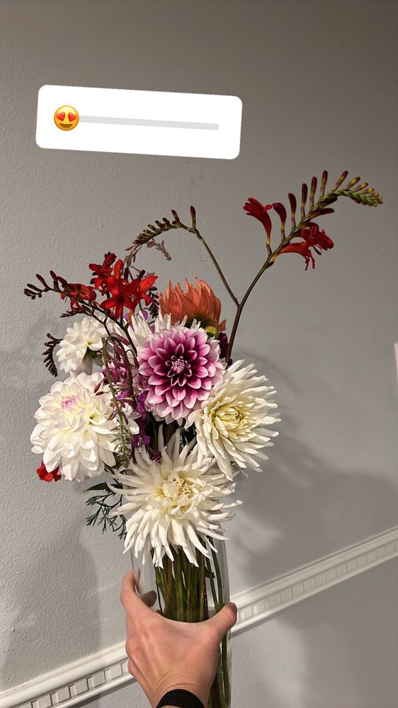 Fat Cat Garden & Gifts