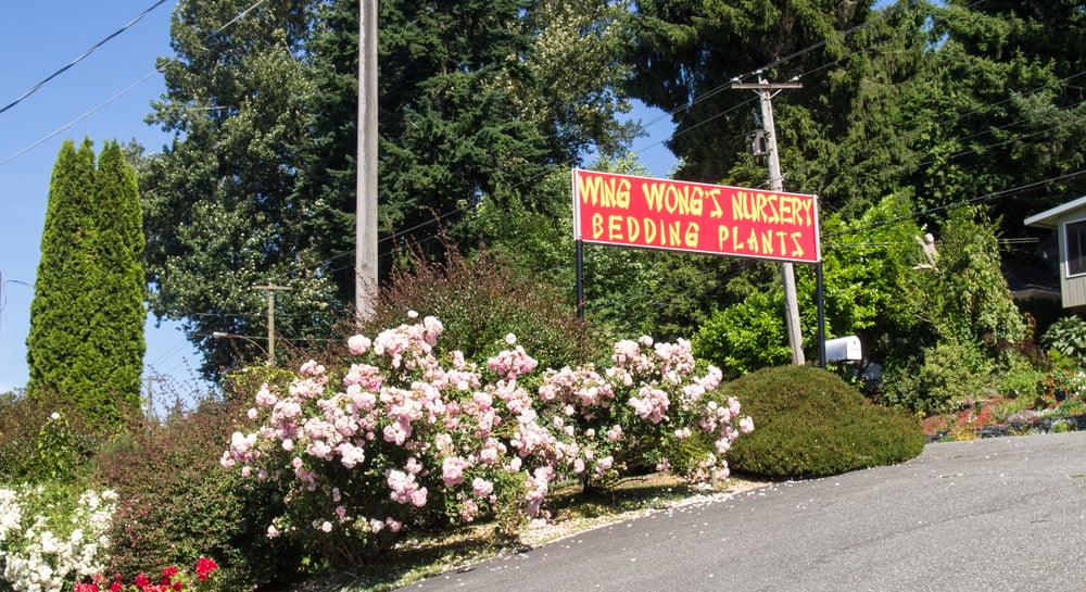 Wing Wong’s Nursery Nurseries & Gardening 4892 Marine Drive