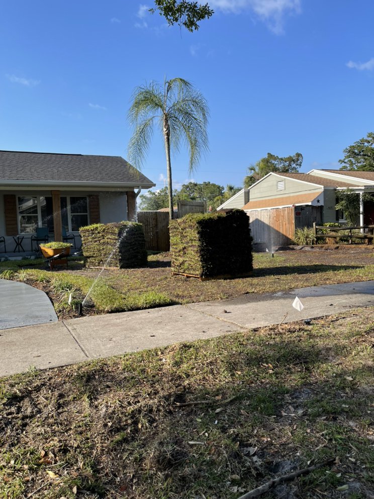 TDS Lawn & Landscaping