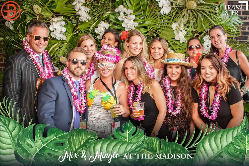 image of business DiPilla Robert, DDS