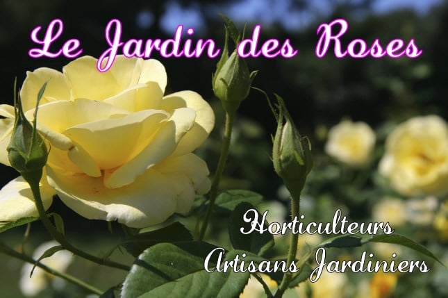 Le Jardin Des Roses Moirans