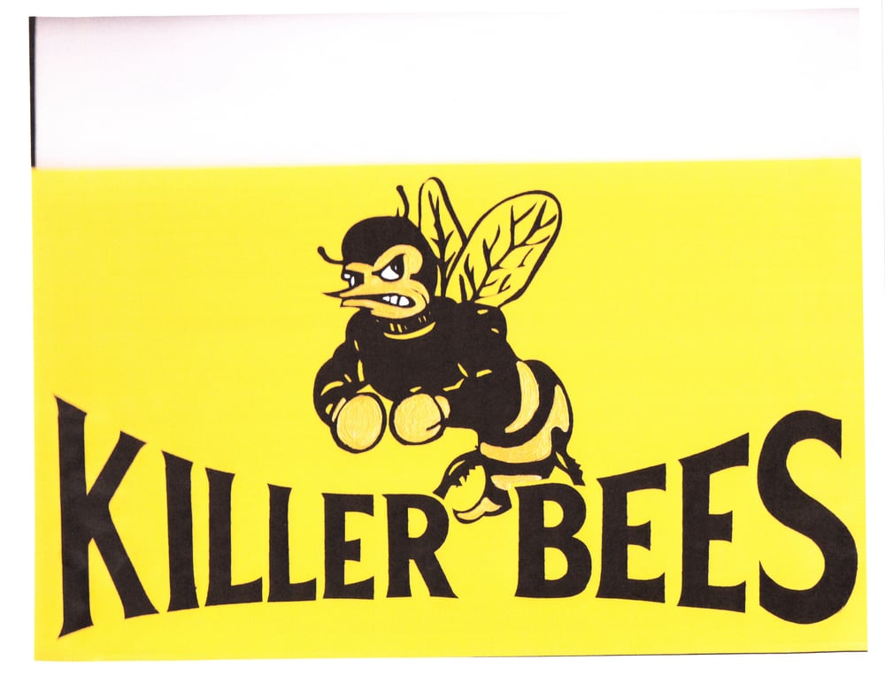 Killer Bees CLOSED Sports Clubs 10055 Belknap, Sugar Land, TX