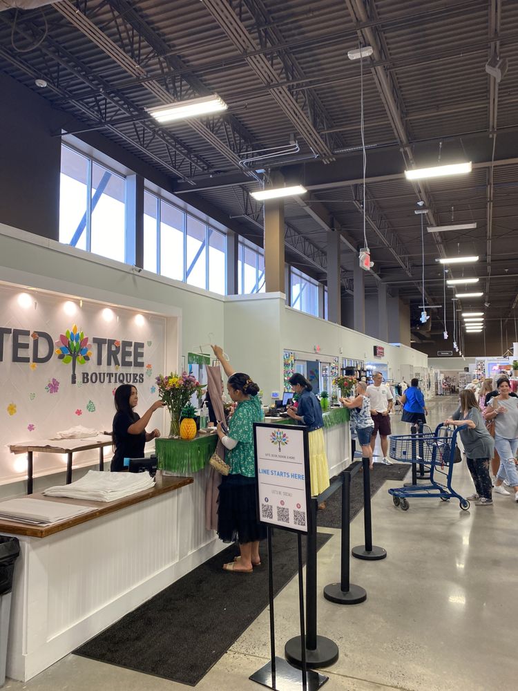 Painted Tree Boutique