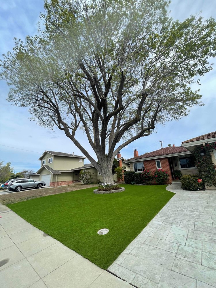 David Landscaping