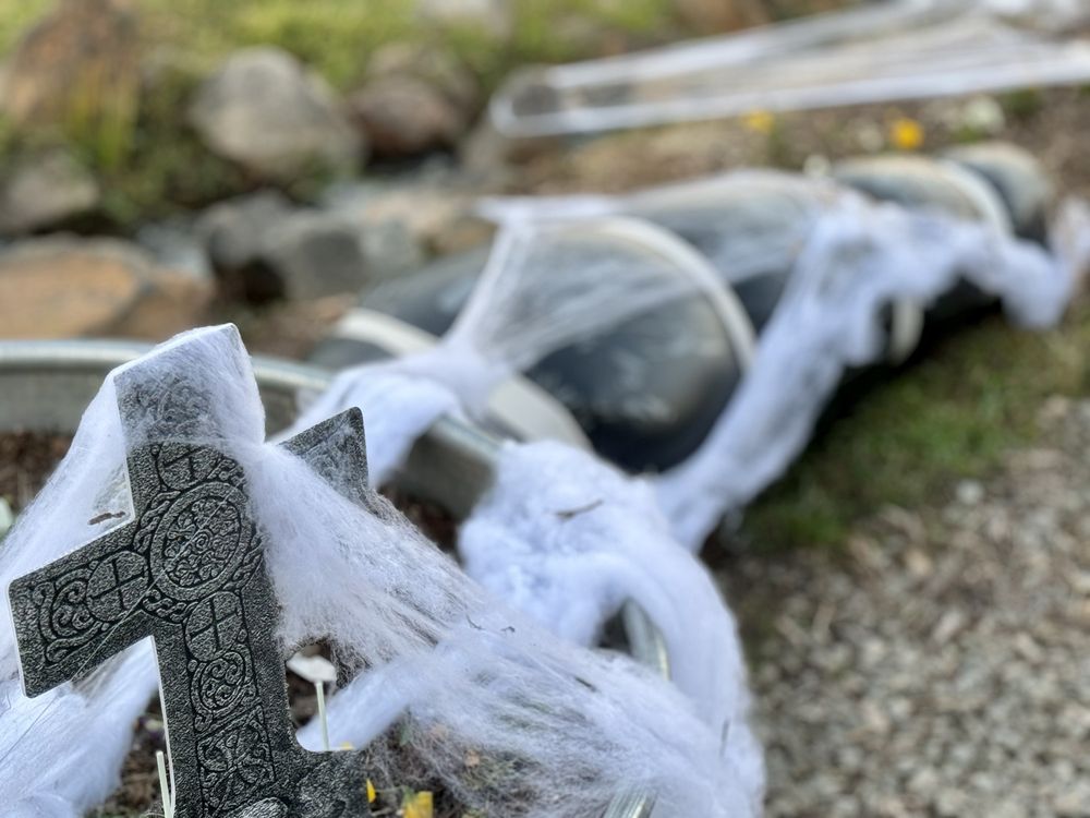 Mystic Farm and Distillery