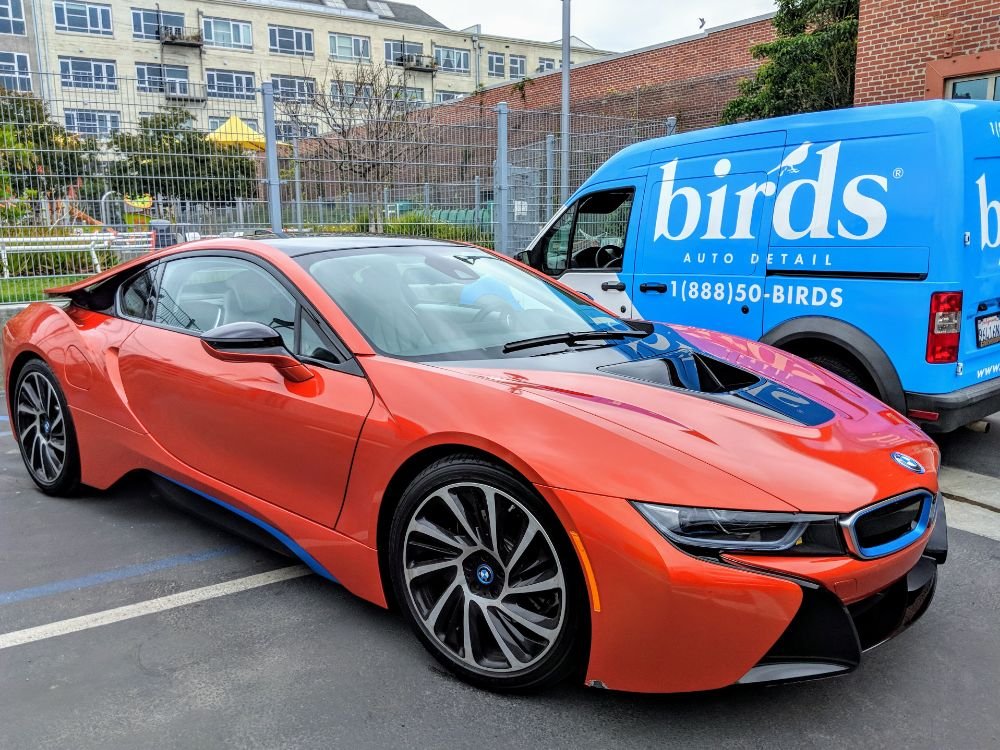 Birds Auto Detail and Ceramic Coatings