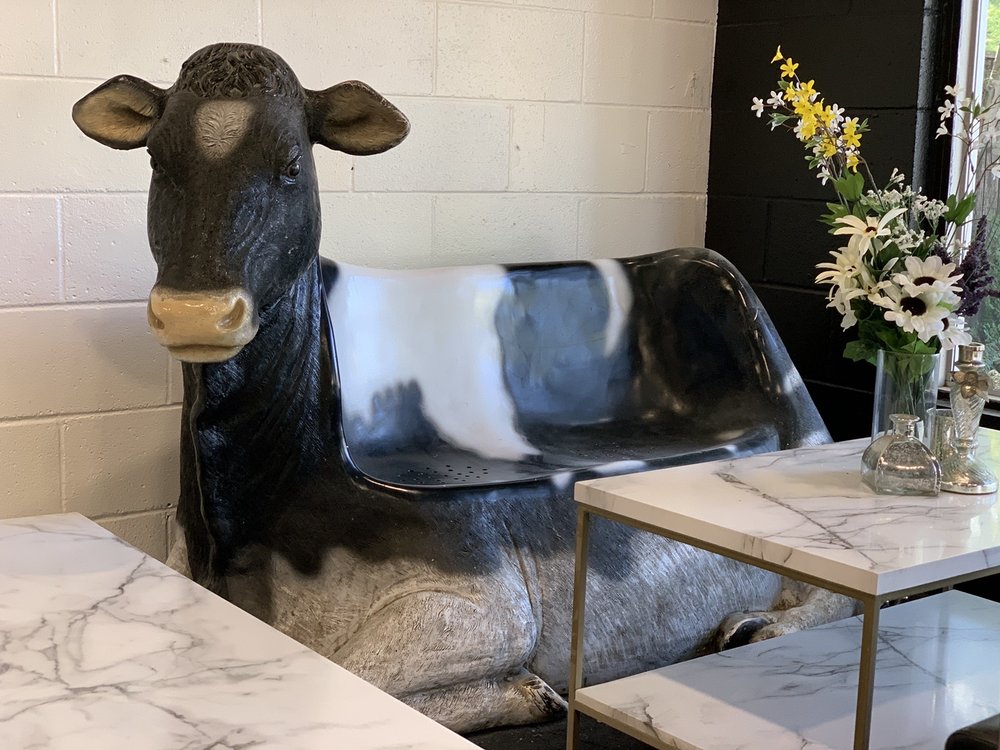 Lazi Cow - Davis