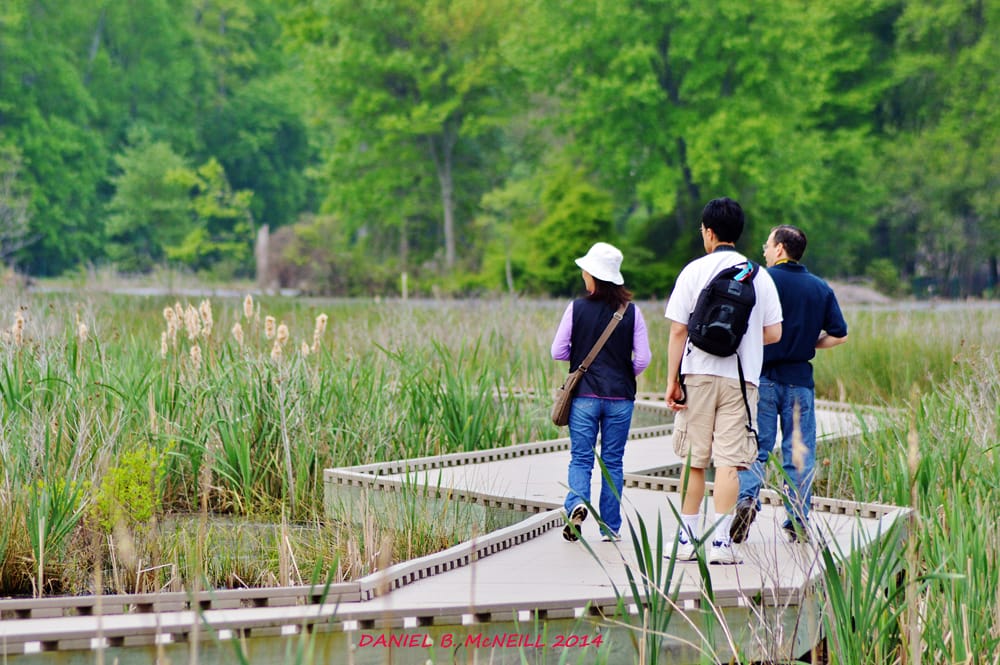 Huntley Meadows Park