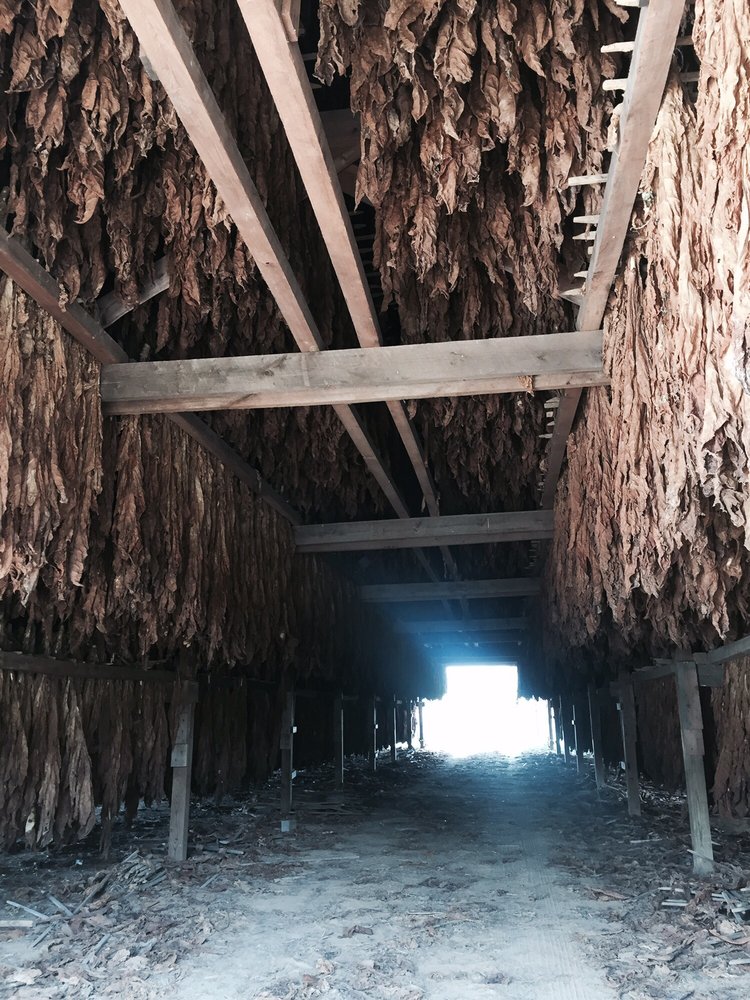 Mulberry Orchard 22 Photos Farmers Market 1330 Mulberry Pike