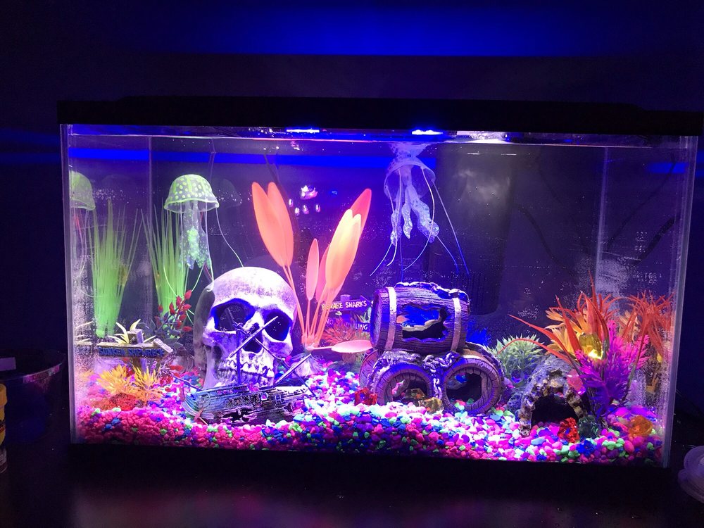 Waterbury Aquarium