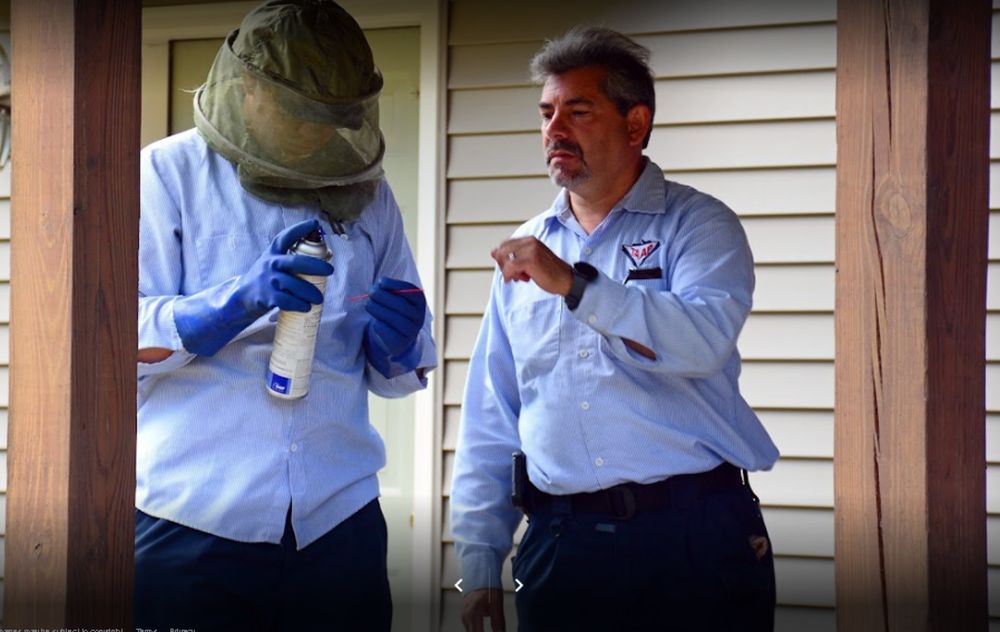 TAAP Pest Elimination