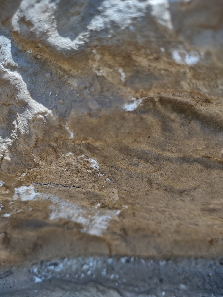 The Rock Market