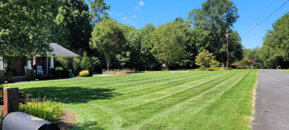 Steve's Lawn Services