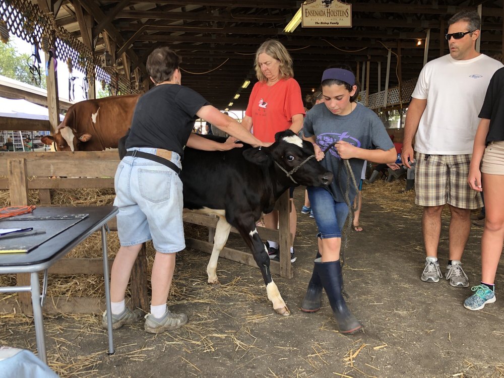 Middletown Grange Fair