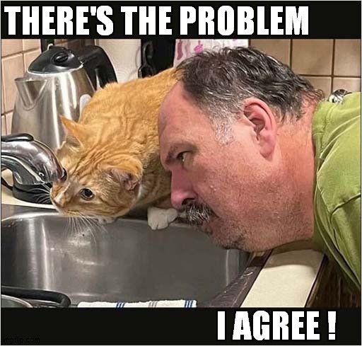 Daddario Plumbing