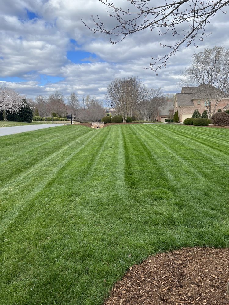 Rubio Landscape & Lawn Maintenance