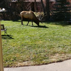 deer crest resort hotels 1200 fall river rd estes park co
