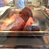 Blue's BBQ