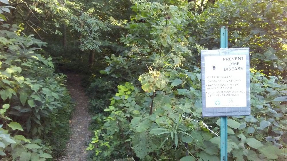 Chartiers Park Parks Chartiers St, Bridgeville, PA Phone Number