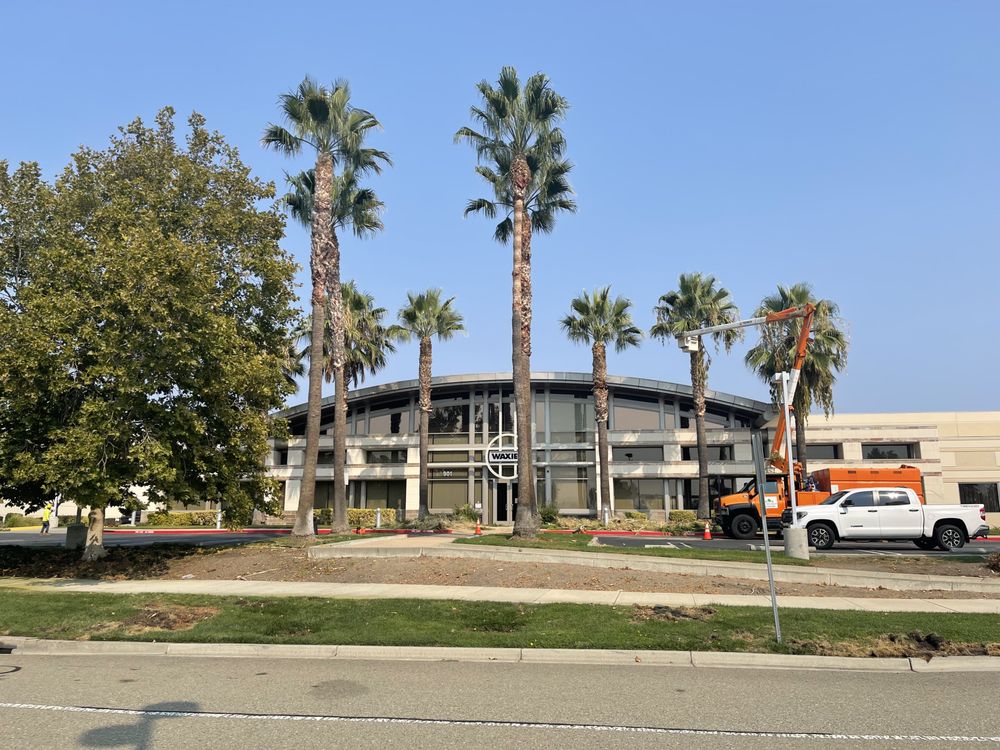 JMV Tree Service