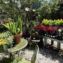 Earl S Garden Nursery Nurseries Gardening 3627 Wests Photo Of Earl S Garden Nursery Tampa Fl United States