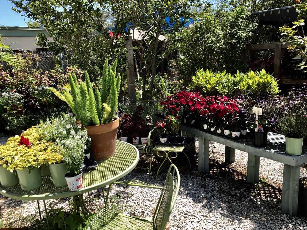 Earl S Garden Nursery Gift Card Tampa Fl Giftly Earl S Garden Nursery Gift Card
