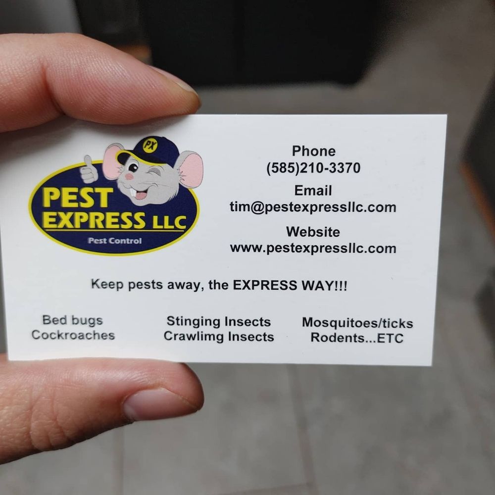 Pest Express