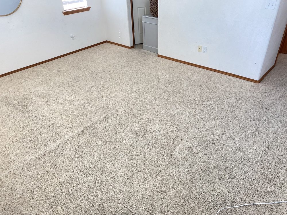 Carbonated Carpet Solutions