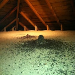 Bat And Wildlife Solutions 12 Photos Control Hartland Photo Of Bat And Wildlife Solutions Hartland Mi United States Guano