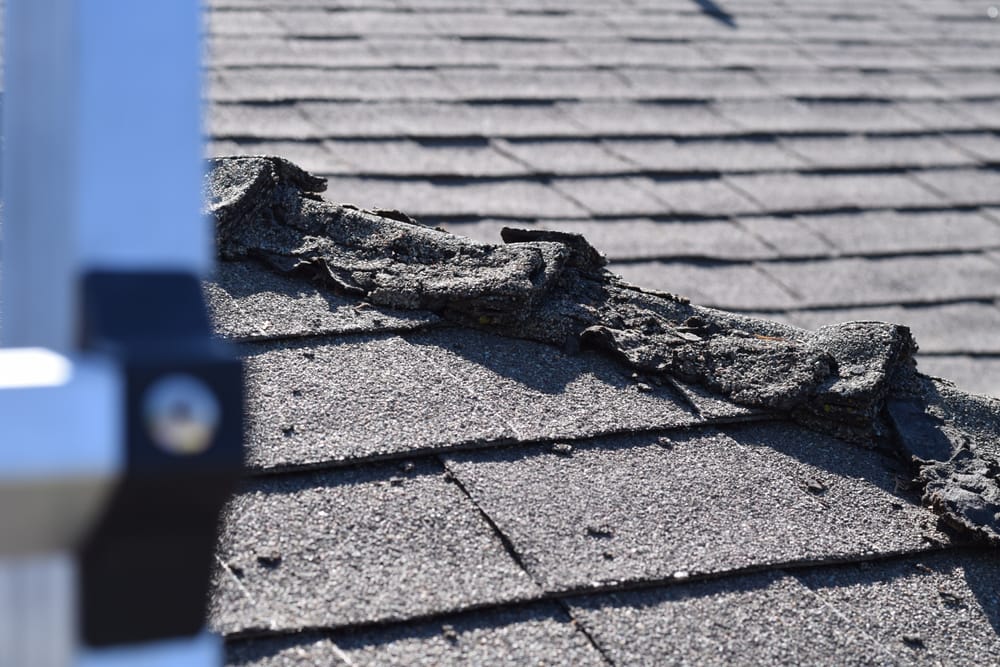 Big Tree Roofing and Inspections