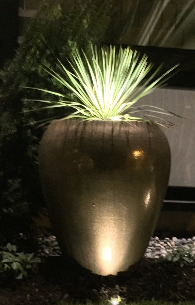 Terra Luma Design