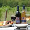Sarah's Vineyard