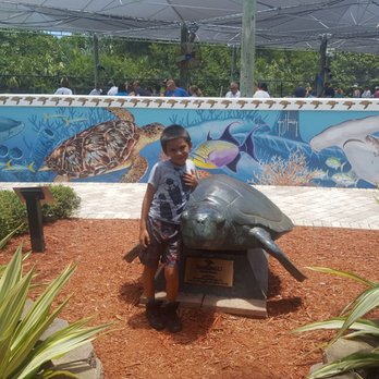 Loggerhead Marinelife Center 401 Photos 111 Reviews Community Loggerhead Marinelife Center 401 Photos 111 Reviews Community Service Non Profit 14200 Us Hwy 1 Juno Beach Fl Phone Number Yelp
