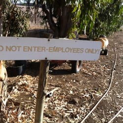 Green Meadow Nursery Closed 14 Photos Nurseries Gardening Photo Of Green Meadow Nursery Camarillo Ca United States Time To See