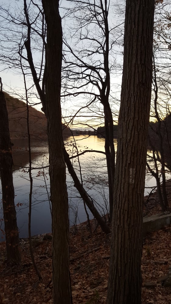 Giuffrida Park 45 Photos & 22 Reviews Hiking 800 Westfield Rd