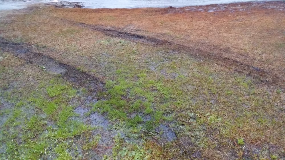 Golden Dragon Restaurant