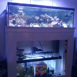 bio reef aquarium services