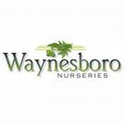 Waynesboro Nurseries Get Quote 10 Photos Landscaping 2597 Waynesboro Nurseries Photo Of Va United States