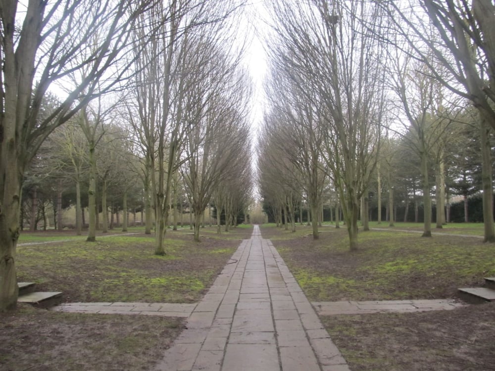 Tree Cathedral Landmarks & Historical Buildings Portway H5 & V10