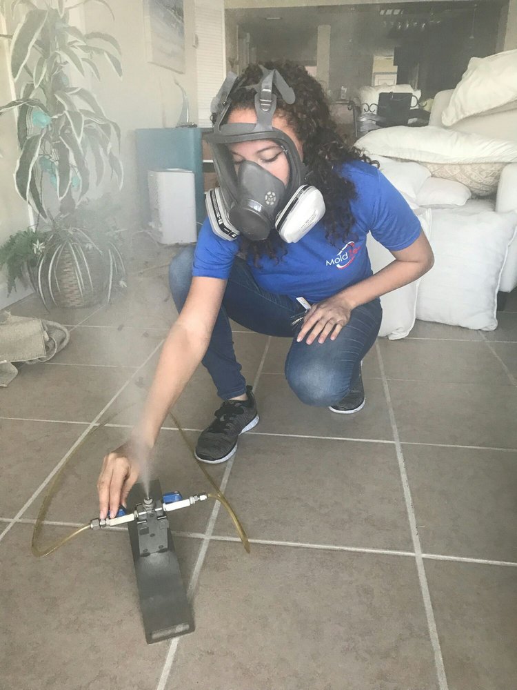 Mold Zero