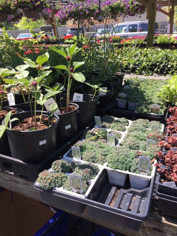 Highland Landscape Supply - Florists - 5860 Wilson Mills Rd Photo of Highland Landscape Supply - Cleveland, OH, United States - Highland Landscape Supply - Florists - 5860 Wilson Mills Rd