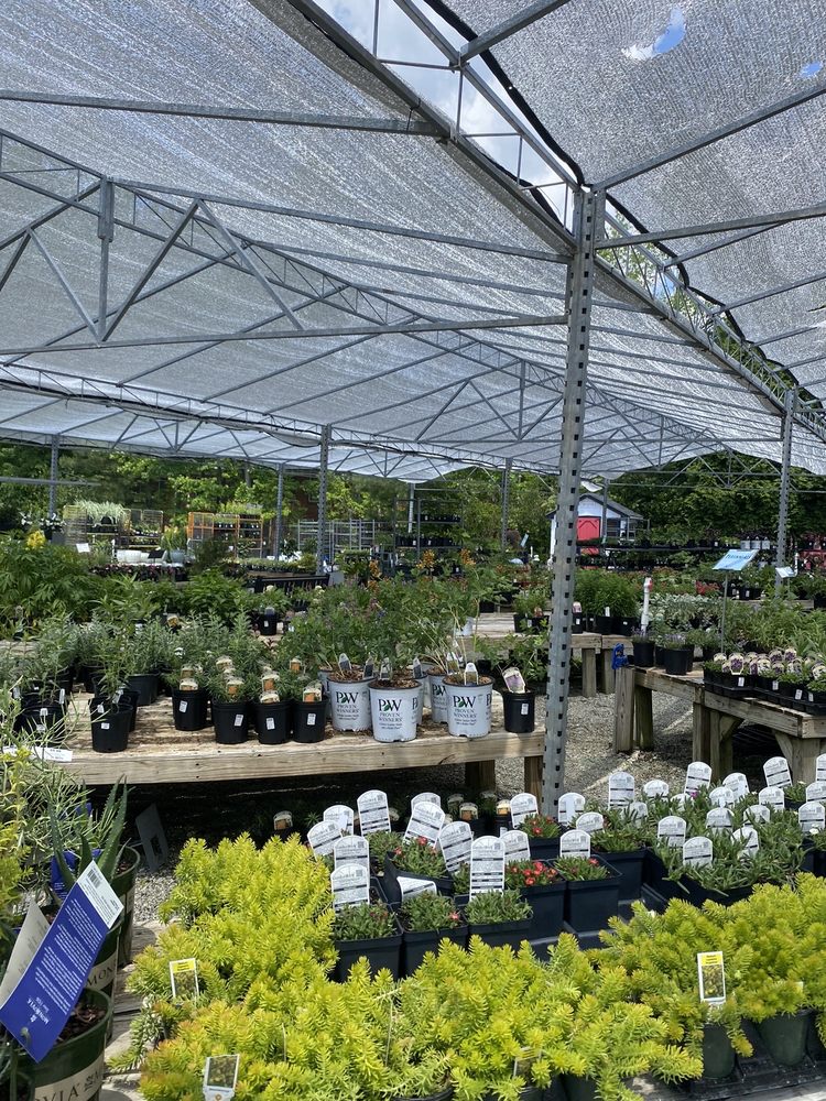 New Garden Landscaping & Nursery