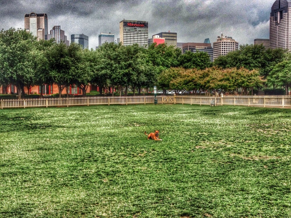 Meadows Foundation Dog Park 37 Photos & 34 Reviews Dog Parks 500