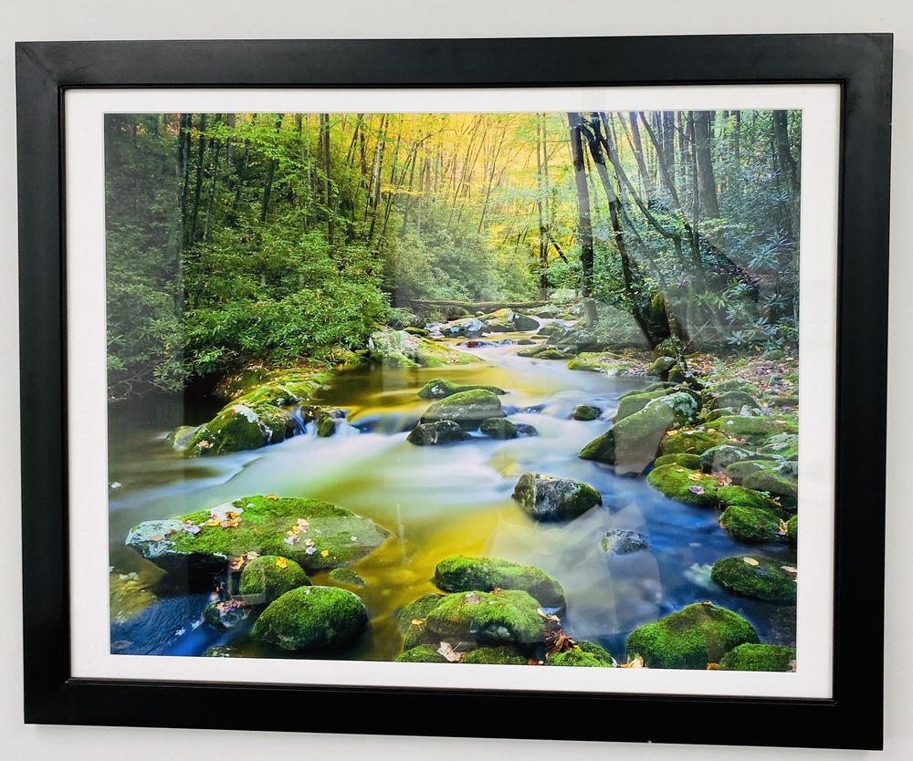 image of business Alan S Brock, DDS